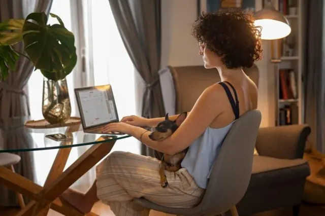 A person working at a desk near a window