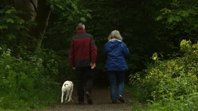 Two people and a dog walking along a wooded trail