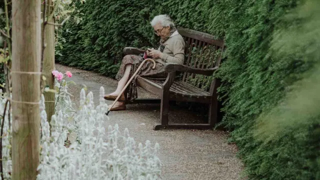 An older person seated on a garden bench