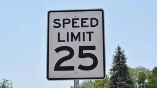 A roadside sign displaying a speed limit of 25