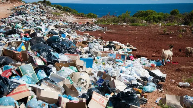 A large pile of discarded waste beside vegetation and water