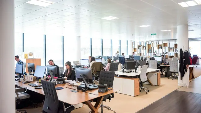 A spacious office environment filled with employees working at their desks with computers