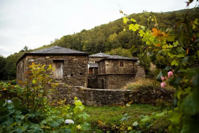 A small house in a wooded landscape