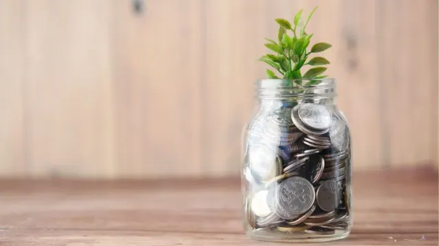 A small plant growing from a jar of coins